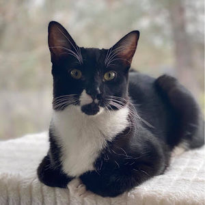 Meet your Posher, Kimberley